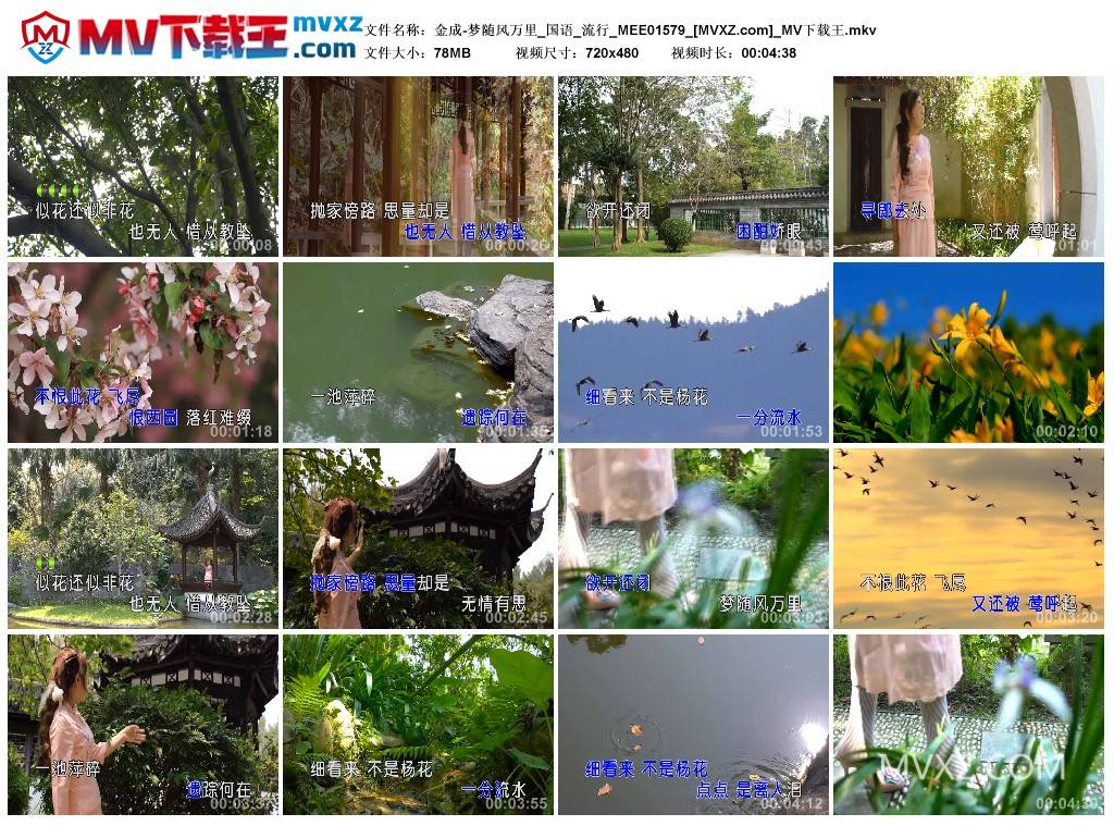 金成-梦随风万里_国语_流行_MEE01579